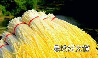 露天韭黄怎样种植 大棚韭黄怎么种植出来的