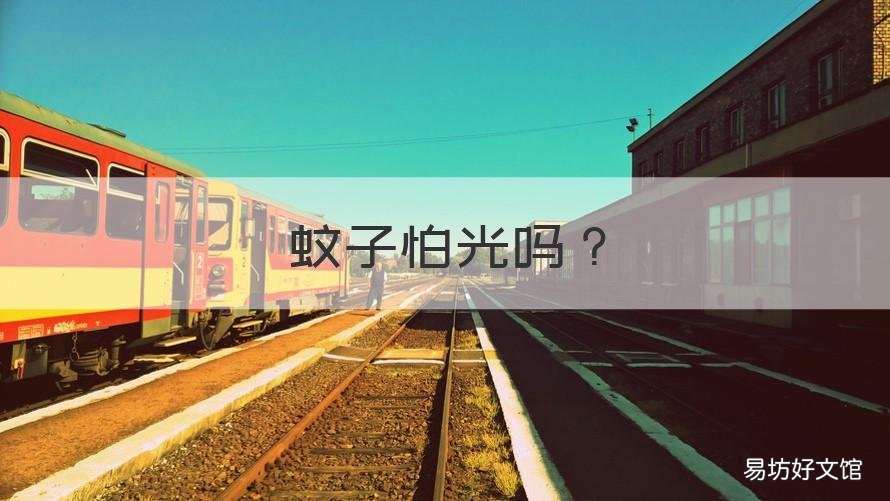 蚊子怕光吗 蚊子怕灯光吗?