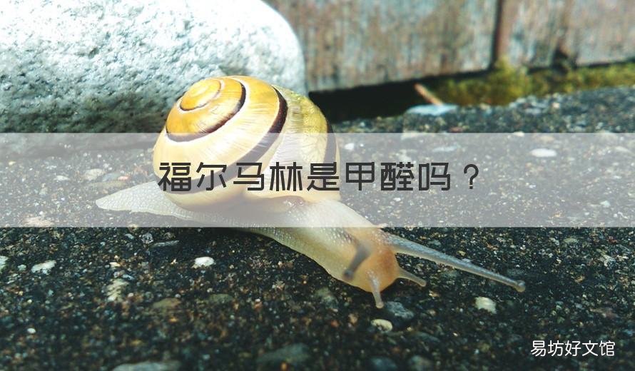 福尔马林是甲醛吗 甲醛是不是福尔马林?