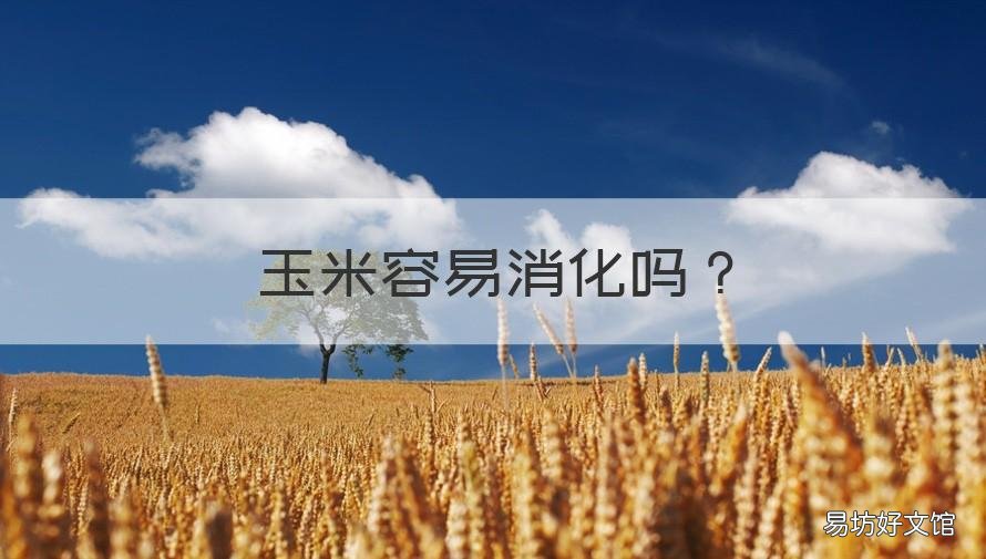 玉米容易消化吗 玉米容易消化吗,会胀气吗