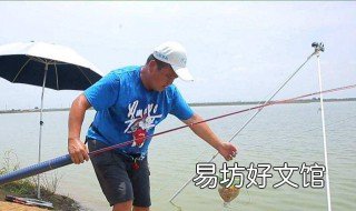 冬天钓白条最快的钓法 冬天钓白条技巧