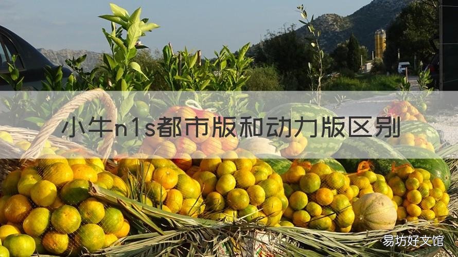 小牛n1s都市版和动力版区别 小牛n1s都市版和动力版区别大吗