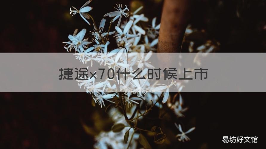 捷途x70什么时候上市 捷途X70上市价格