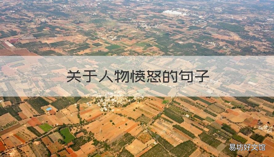 关于人物愤怒的句子 关于人物愤怒的描写