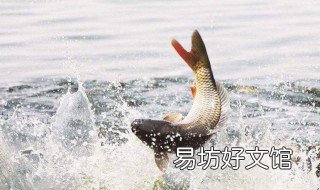 冰钓鲫鱼用什么打窝 冬季钓鲫鱼怎么打窝