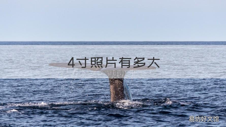 4寸照片有多大 5寸照片有多大