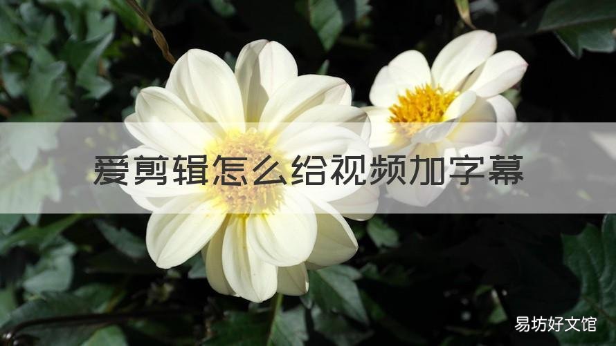 爱剪辑怎么给视频加字幕 爱剪辑怎么给视频加字幕对不上嘴