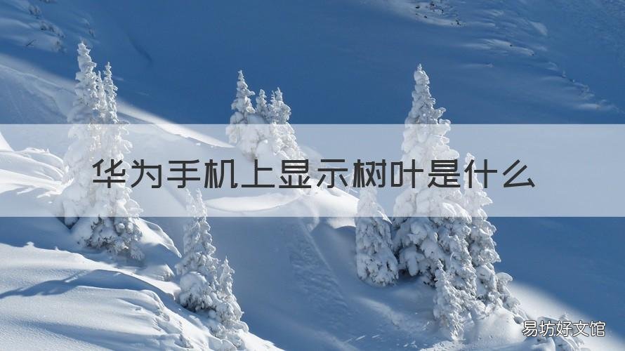 华为手机上显示树叶是什么 华为手机上显示有个树叶是什么