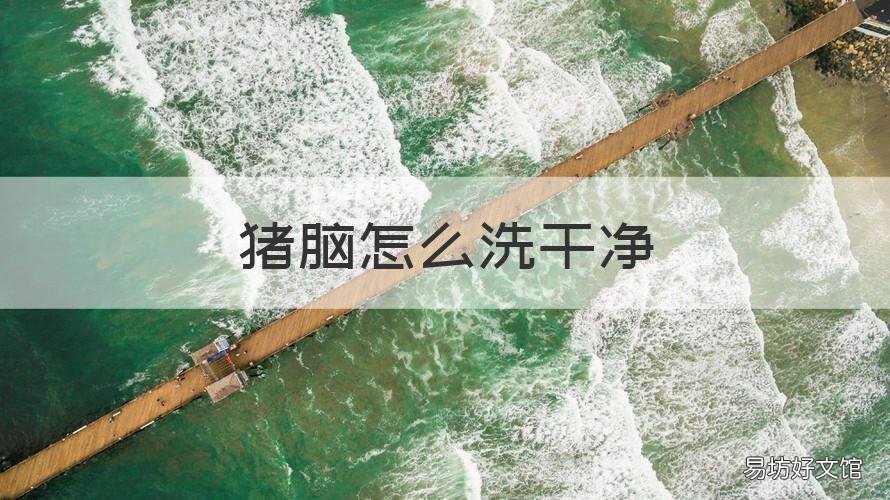 猪脑怎么洗干净 猪脑怎样洗才干净图解