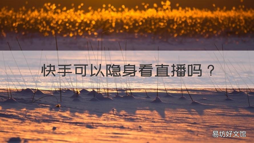 快手可以隐身看直播吗 快手隐身主播能看到吗