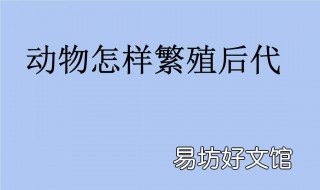 人类为什么繁育后代 为什么人类一定要繁衍后代