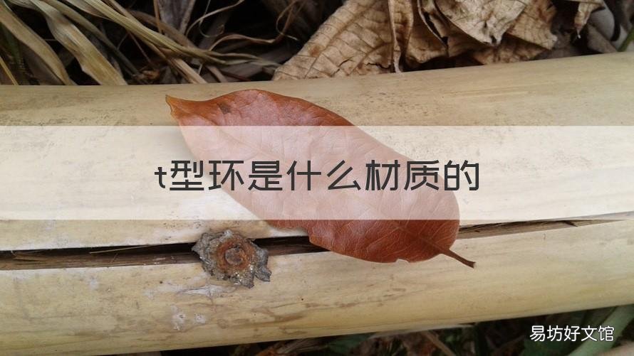 t型环是什么材质的