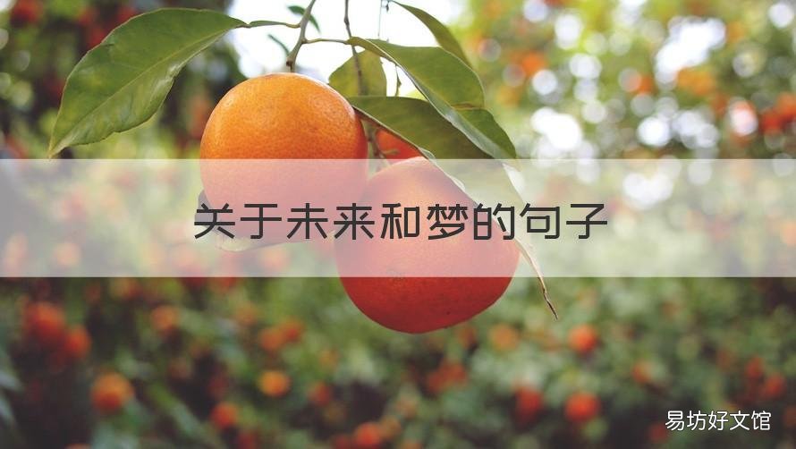 关于未来和梦的句子 关于我的未来不是梦的句子