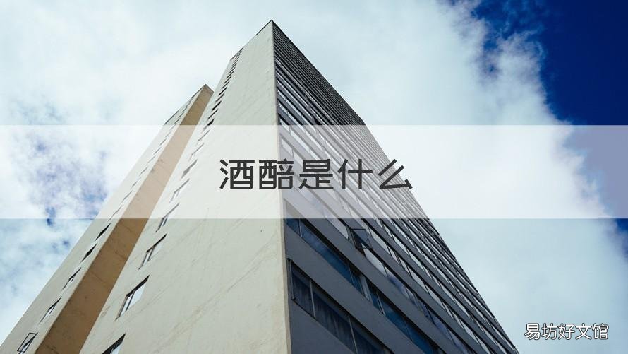 酒醅是什么 新醅酒的醅