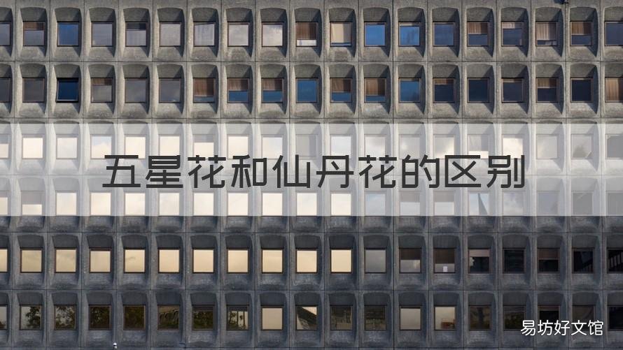 五星花和仙丹花的区别 五彩仙丹花