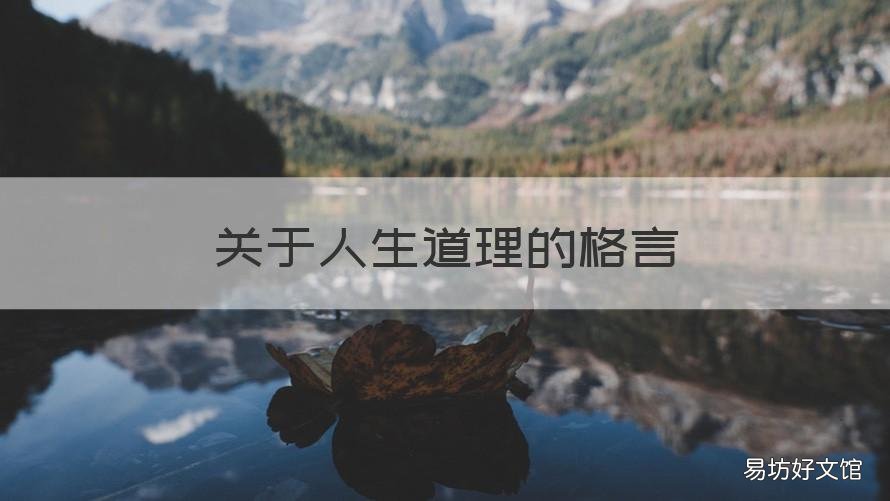 关于人生道理的格言 人生格言和道理