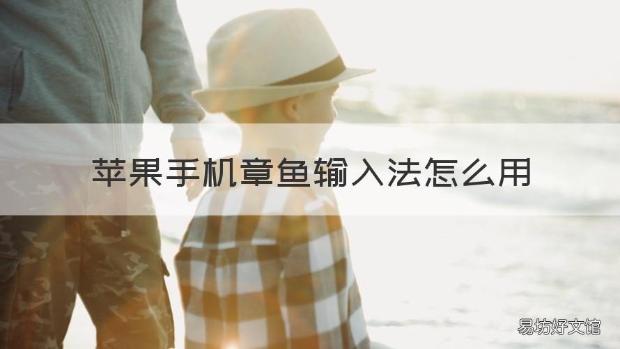 苹果手机章鱼输入法怎么用 苹果手机如何使用章鱼输入法