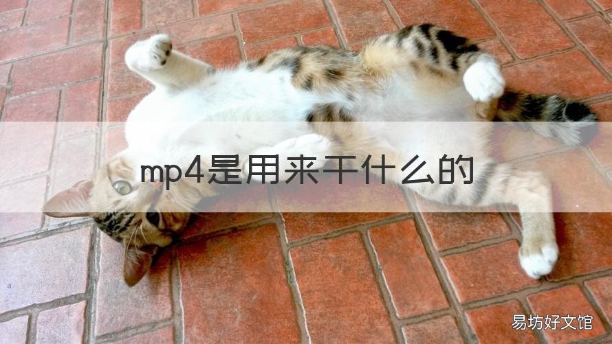 mp4是用来干什么的 mp4是用来干嘛的