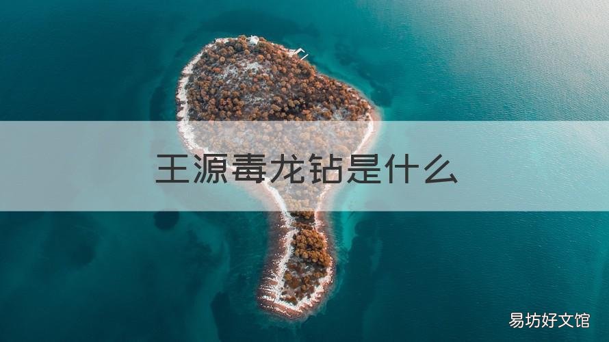 王源毒龙钻是什么