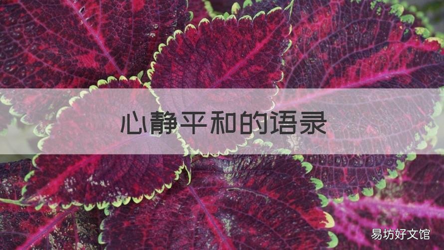 心静平和的语录 心静平和的语录怎么写