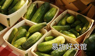 黄瓜的热量有多少 黄瓜的热量有多少千焦