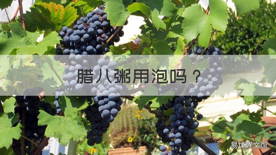 腊八粥用泡吗 腊八粥用什么水泡