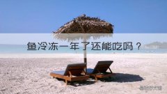 鱼冷冻一年了还能吃吗 冷冻一年的鱼还能吃吗