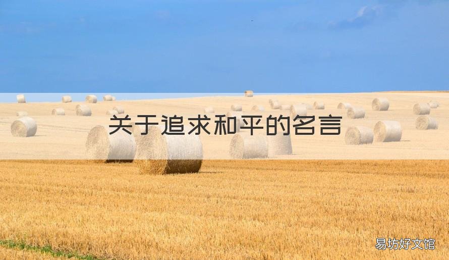 关于追求和平的名言 关于追求和平的名言有哪些