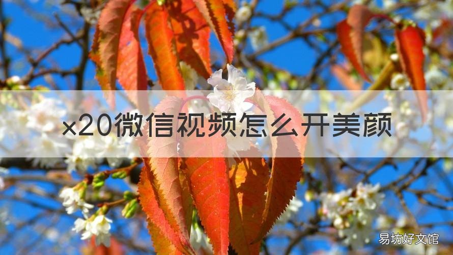 x20微信视频怎么开美颜 x20微信视频怎么开美颜功能