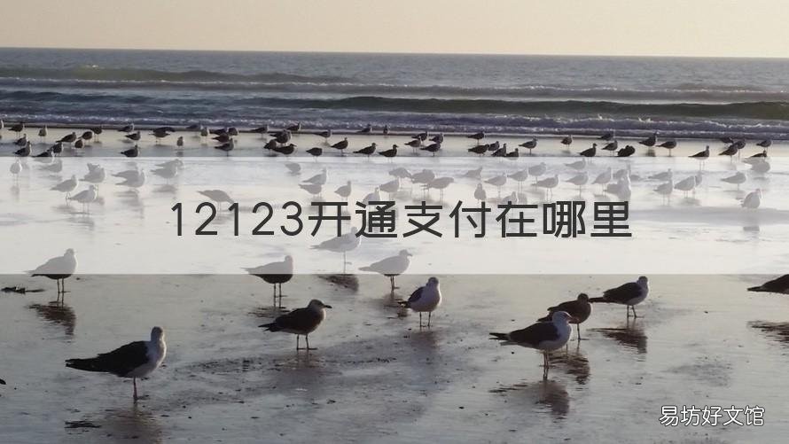 12123开通支付在哪里 12123支付功能在哪里开通