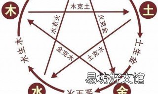 怎么学易经 怎么学易经算卦