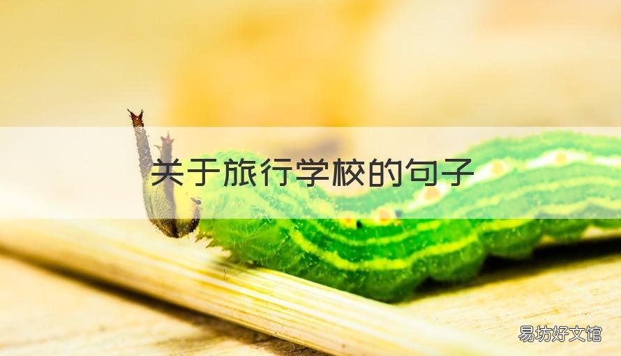关于旅行学校的句子 学生旅行的句子唯美短句