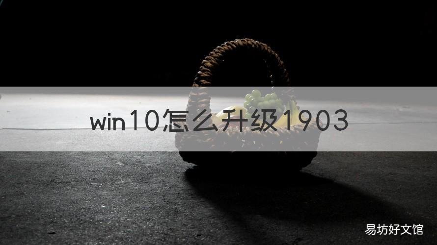 win10怎么升级1903 win10怎么升级win11怎么升不了