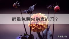 萌推免费兑换真的吗 萌推新人购买真的是免费的吗