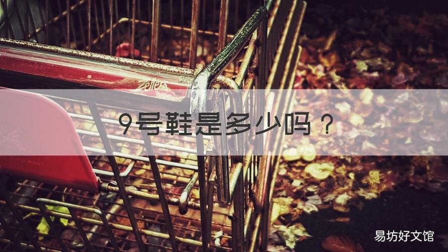 9号鞋是多少吗 9号是多少码的鞋子