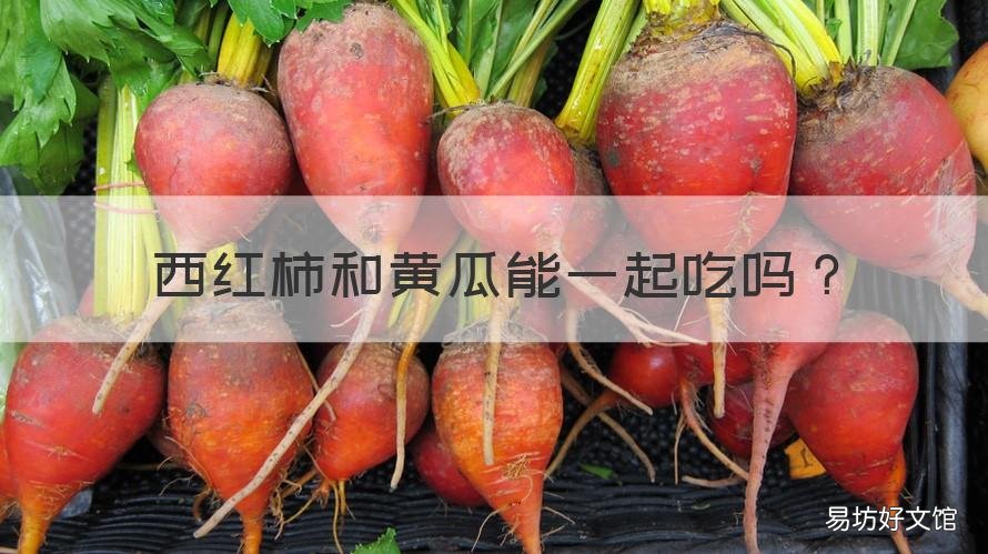 西红柿和黄瓜能一起吃吗 西红柿和黄瓜能一起吃吗有什么副作用