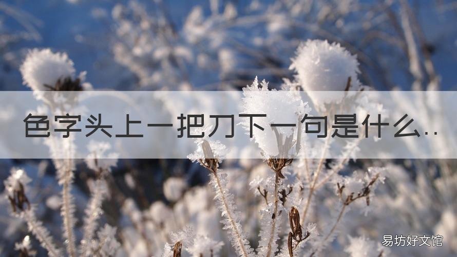 色字头上一把刀下一句是什么 色字头上一把刀下一句是什么生肖