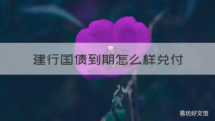 建行国债到期怎么样兑付 建行国债到期怎么样兑付金额