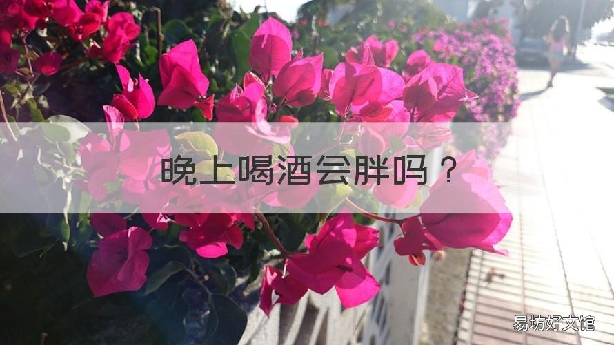 晚上喝酒会胖吗 晚上喝酒会不会胖