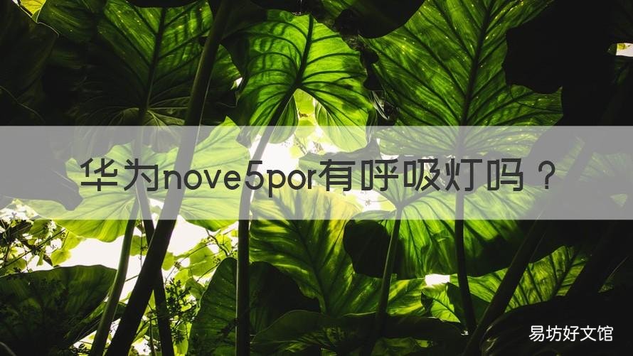 华为nove5por有呼吸灯吗 华为nova5有呼吸灯吗