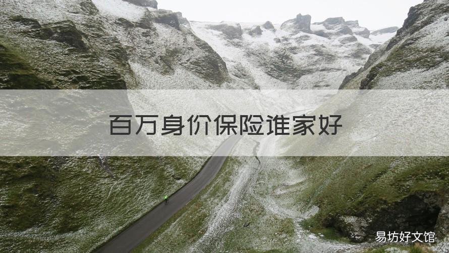 百万身价保险谁家好 什么叫百万身价保险