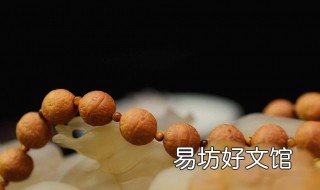新的凤眼菩提怎么玩 新的凤眼菩提怎么玩的