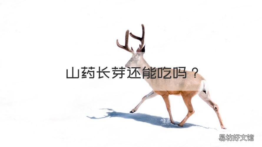 山药长芽还能吃吗 山药长芽还能吃吗百度百科