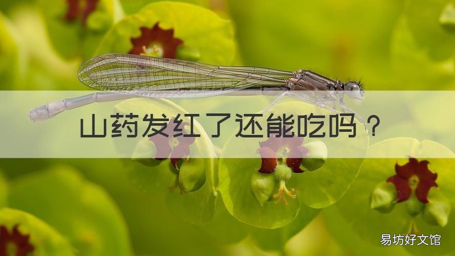 山药发红了还能吃吗 山药里面有些发红是不是不能吃了