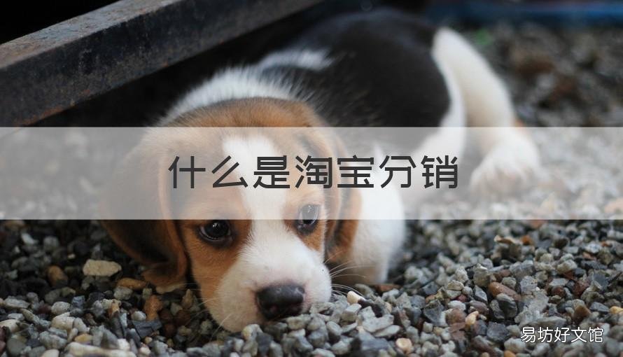 什么是淘宝分销 淘宝的分销渠道有哪些