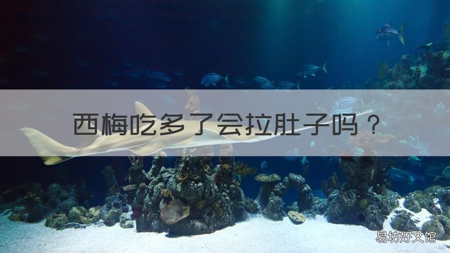 西梅吃多了会拉肚子吗 为什么西梅吃多了拉肚子