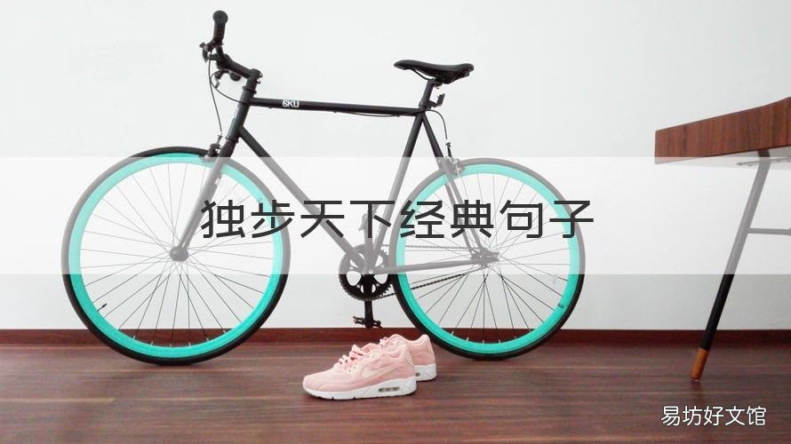 独步天下经典句子 独步天下形容什么