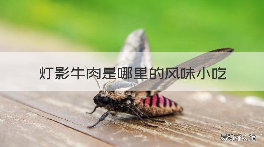 灯影牛肉是哪里的风味小吃 灯影牛肉哪家好吃