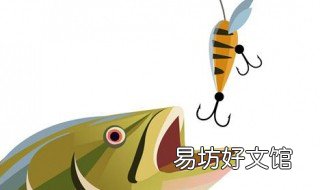 冬季钓鱼酒米绝密配方 春季钓鱼酒米配方