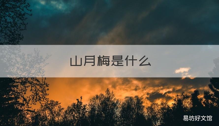 山月梅是什么 山月梅是什么图片